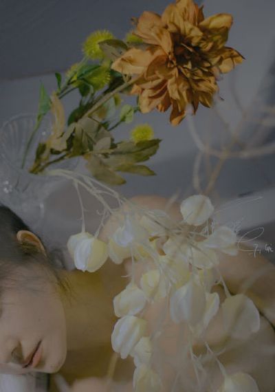 汤色戒2小时38分未删减版_国产剧日韩电影在线